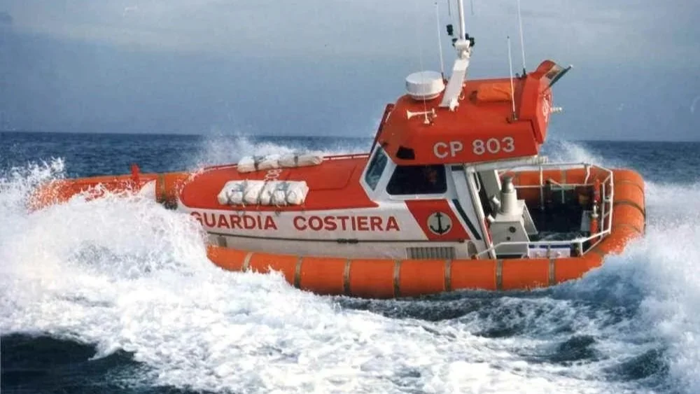 CP 800